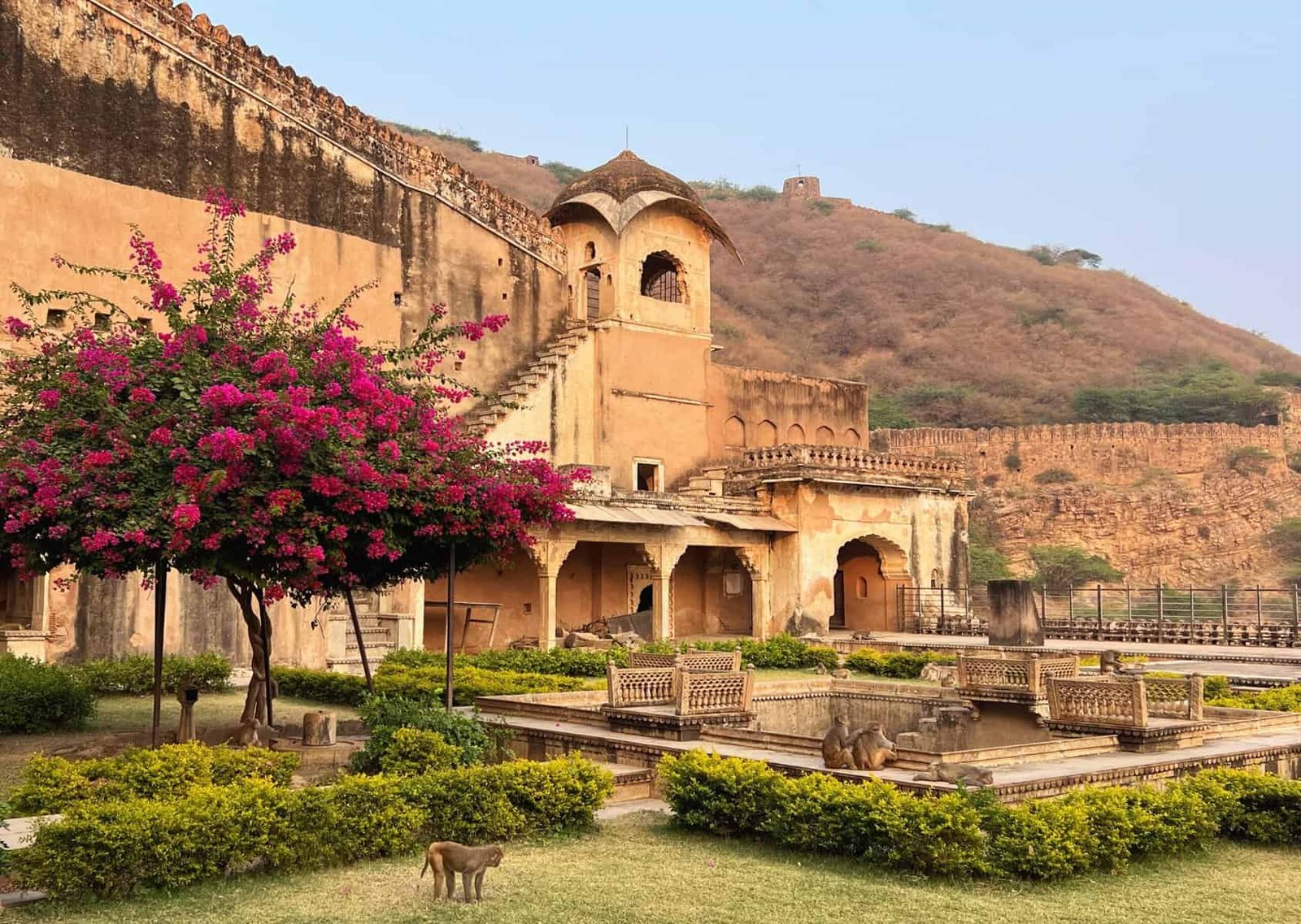 Rajasthan